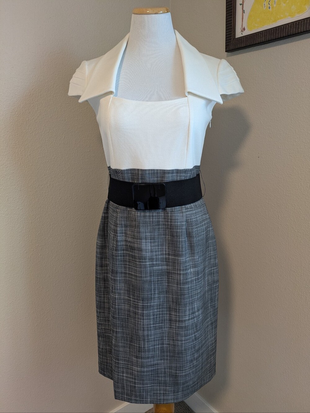 Antonio Melani Collared Dress